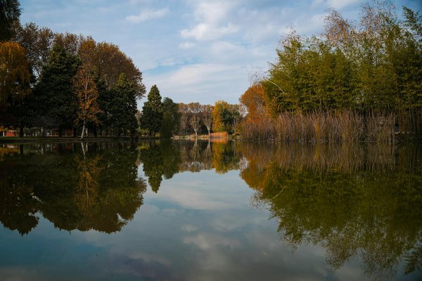 Accueillir Bébé : Comment Préparer Votre Chien pour une Coexistence Harmonieuse