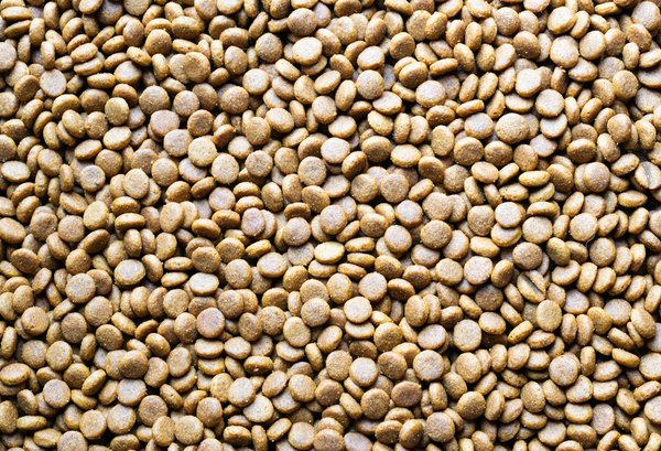 Quelles sont les dernières découvertes en matière de thérapies géniques ?